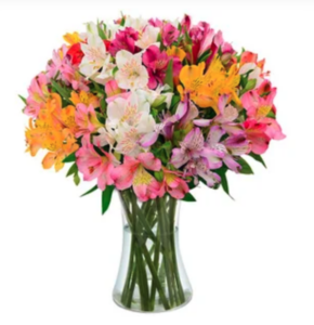 MyD Delivery Product Image